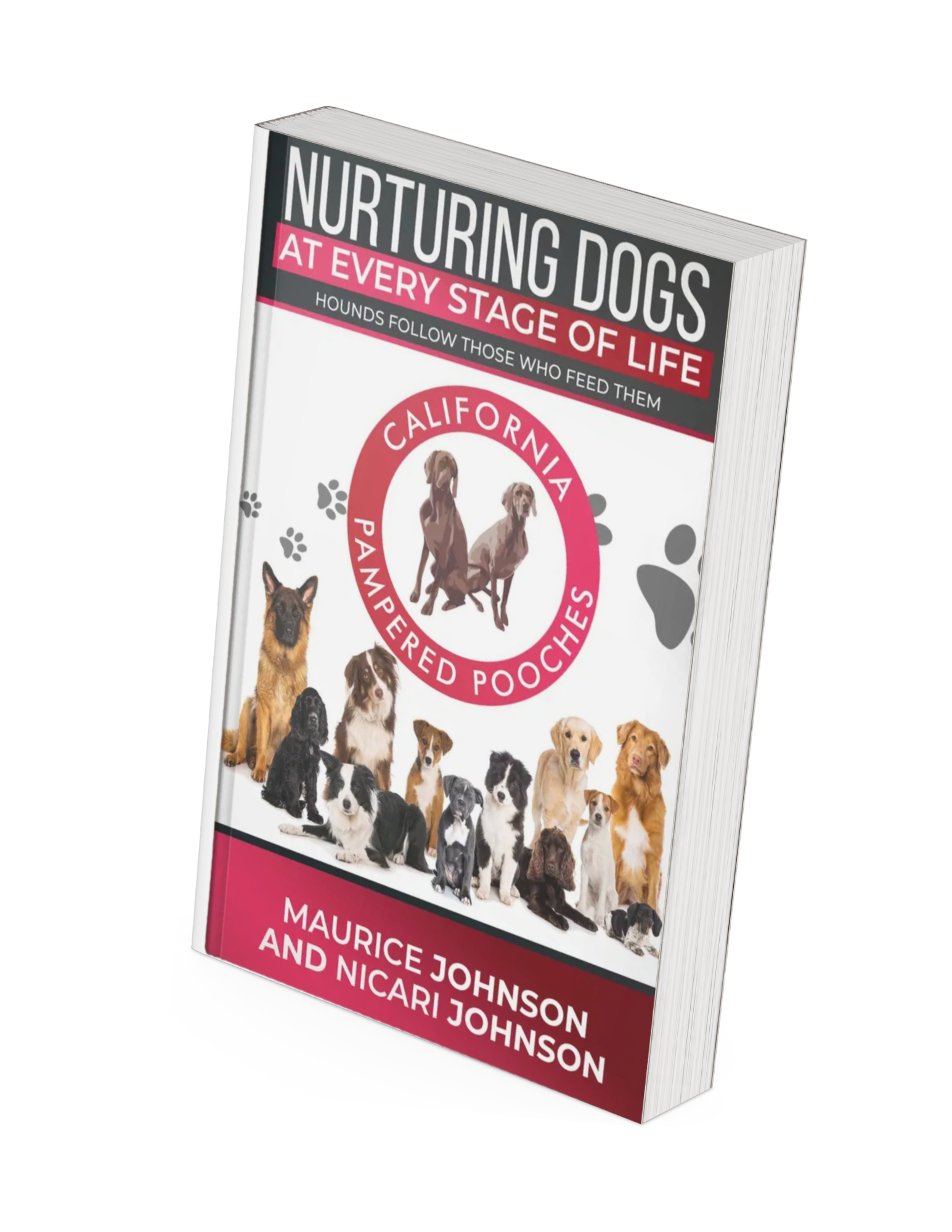 Nurturing Dogs at Every Stage of Life