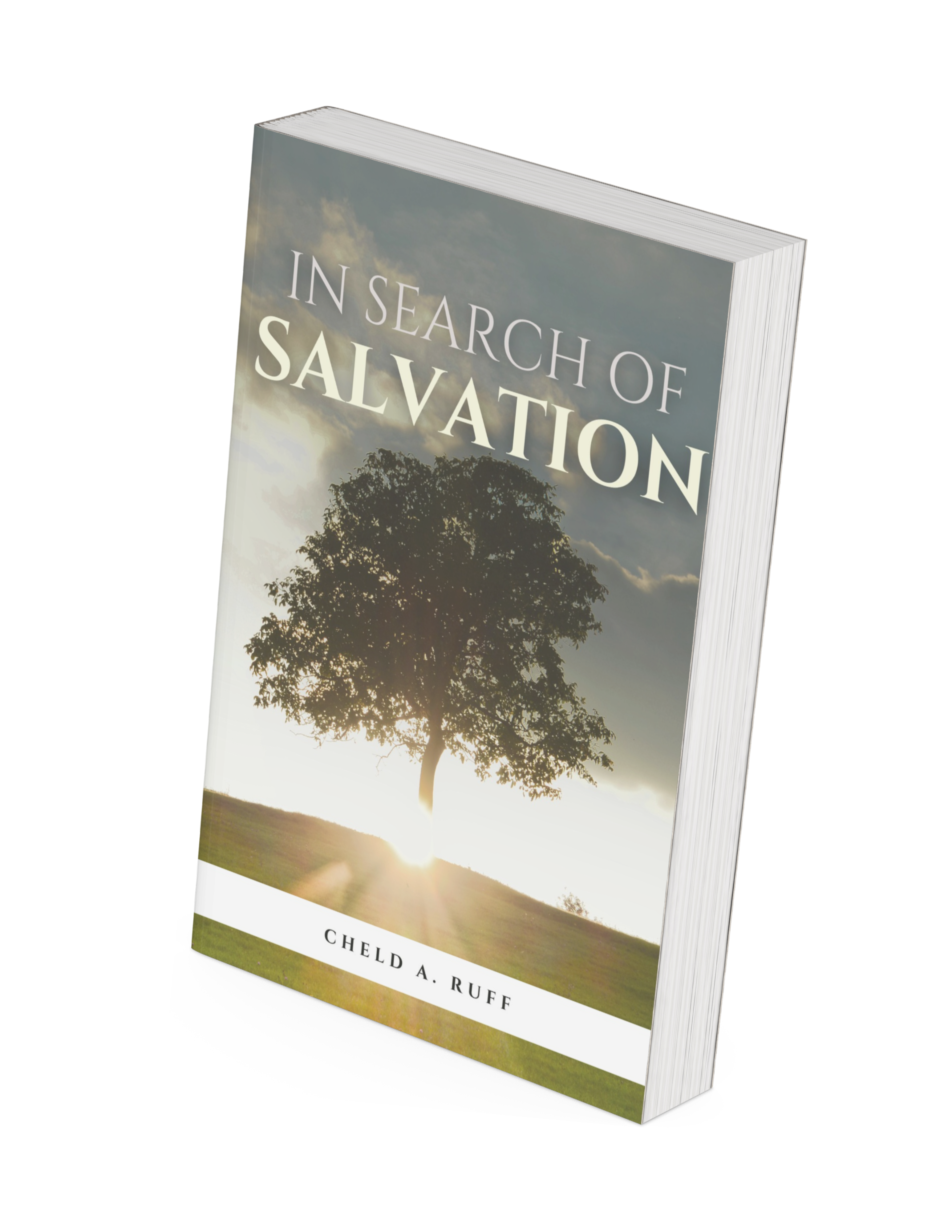 In Search of Salvation 